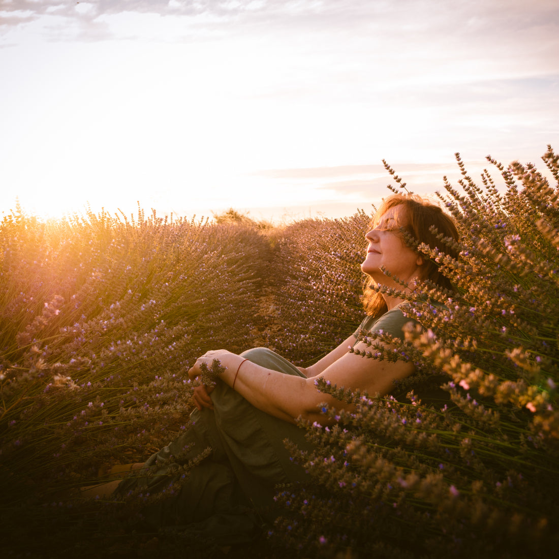 Descubre el camino hacia la felicidad plena con ModoSobreviviente