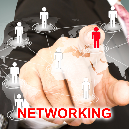 A2. Networking en línea para empresarios: promueve tu negocio y conecta con otros - ModoSobreviviente